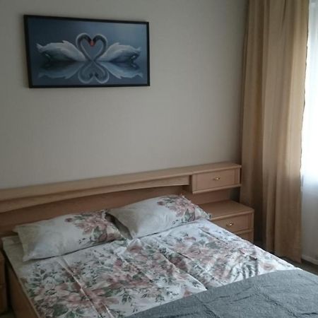 Cosy Appartment In Great Location 考纳斯 外观 照片
