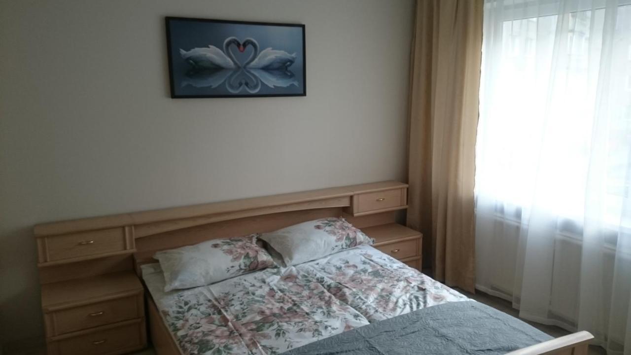 Cosy Appartment In Great Location 考纳斯 外观 照片