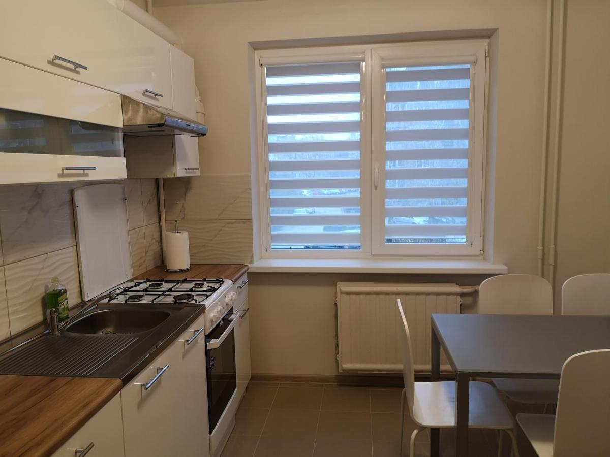 Cosy Appartment In Great Location 考纳斯 外观 照片