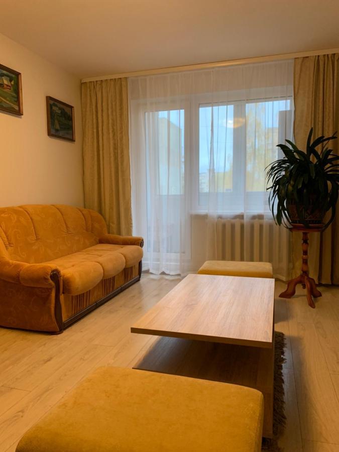 Cosy Appartment In Great Location 考纳斯 外观 照片