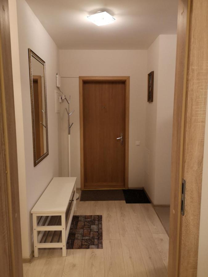 Cosy Appartment In Great Location 考纳斯 外观 照片
