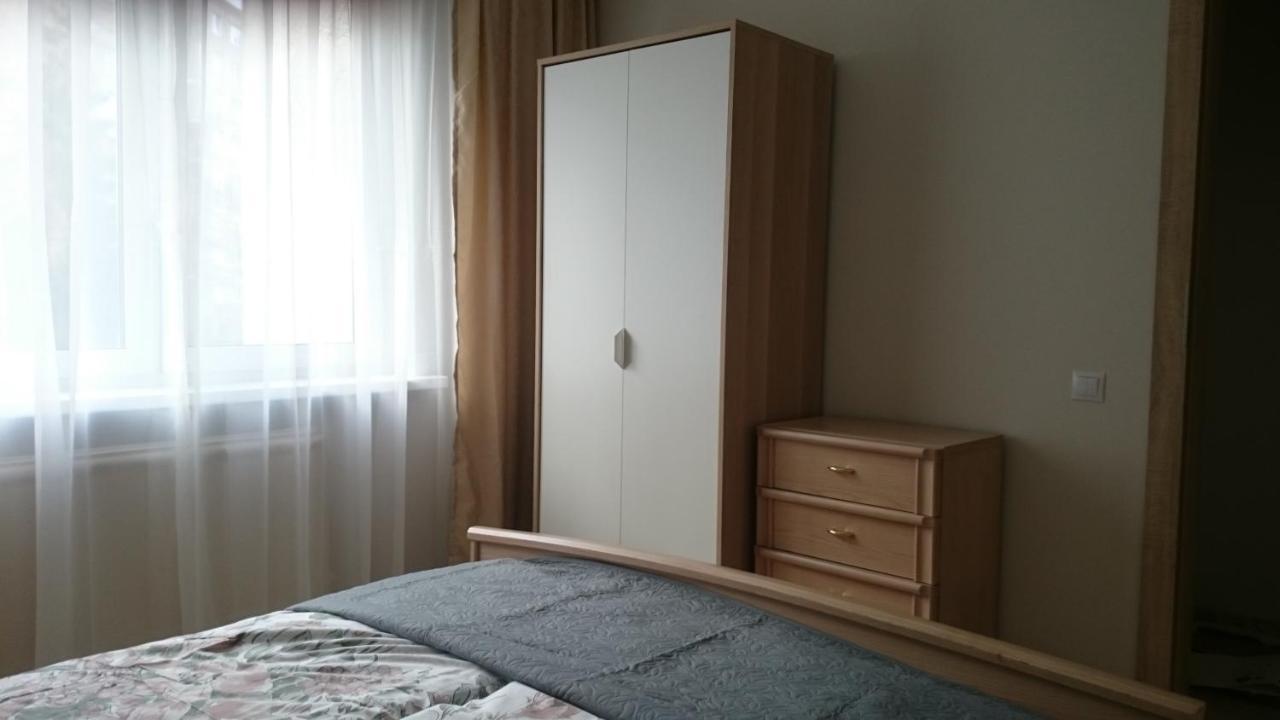 Cosy Appartment In Great Location 考纳斯 外观 照片